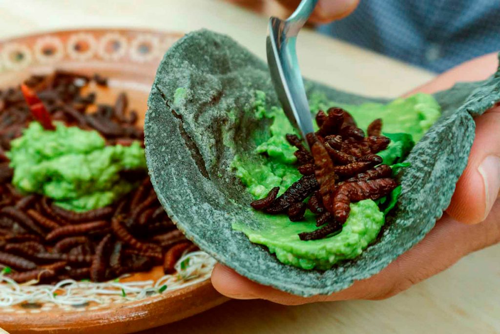 Insectos, reptiles y en 3D: cuáles son los alimentos del futuro