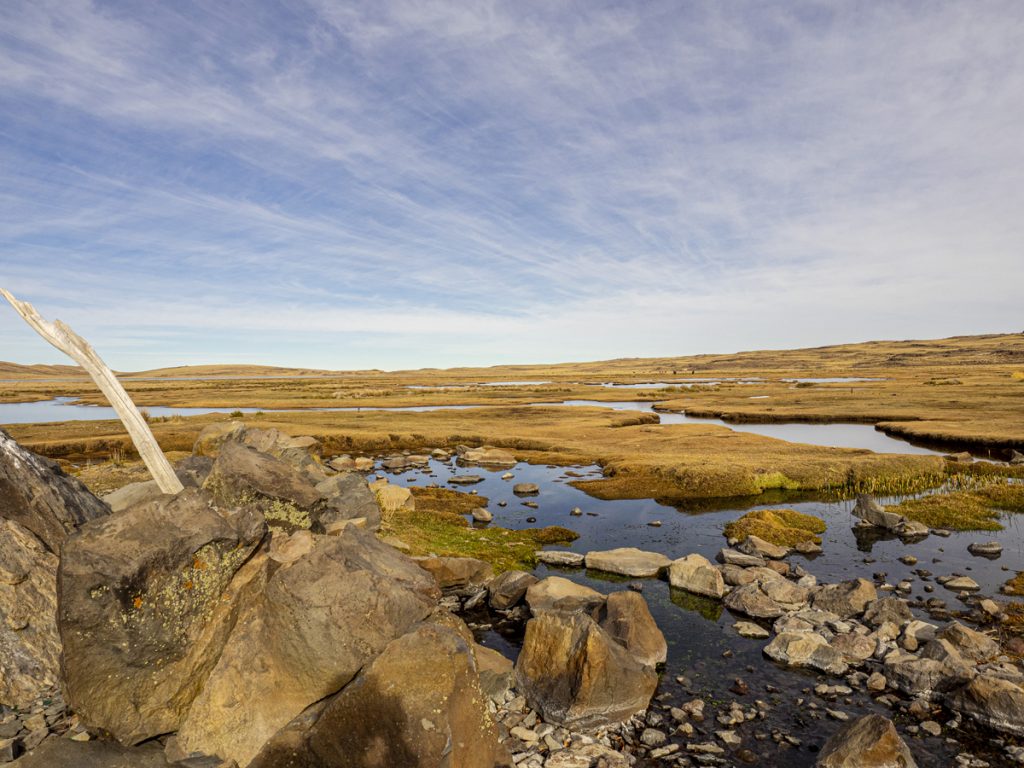 Vivir a la vera de un volcán: las tierras de Don Muñoz y los Correa, entre el cerro Wayle y el Tromen