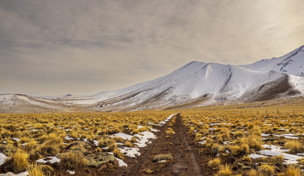 Vivir a la vera de un volcán: las tierras de Don Muñoz y los Correa, entre el cerro Wayle y el Tromen