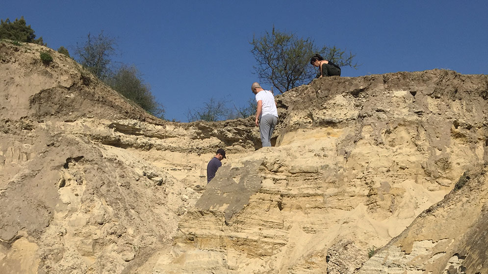 Identifican el primer registro fósil de pelícano para la Argentina: vivió hace 10 millones de años 2 Identifican el primer registro fósil de pelícano para la Argentina: vivió hace 10 millones de años