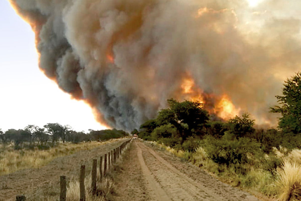 Entre 2001 y 2017 en La Pampa se quemaron casi 520.000 hectáreas por año: solo el 5% fueron de origen natural