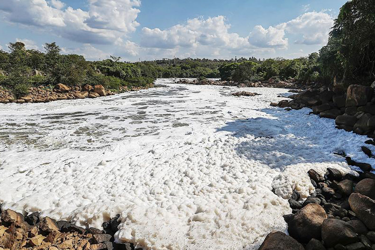 Del Ganges al Támesis: especialistas mostraron la experiencia en otros grandes ríos del mundo de cara al futuro del Riachuelo