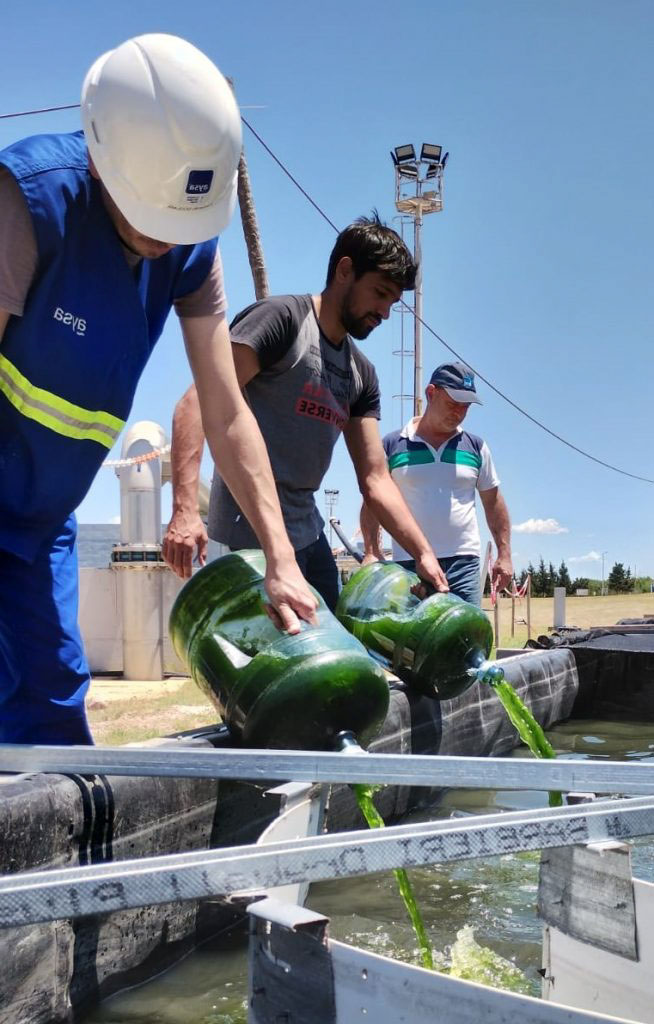 Arrancó a funcionar la primera planta de tratamiento de aguas con microalgas de la Argentina 1 Arrancó a funcionar la primera planta de tratamiento de aguas con microalgas de la Argentina