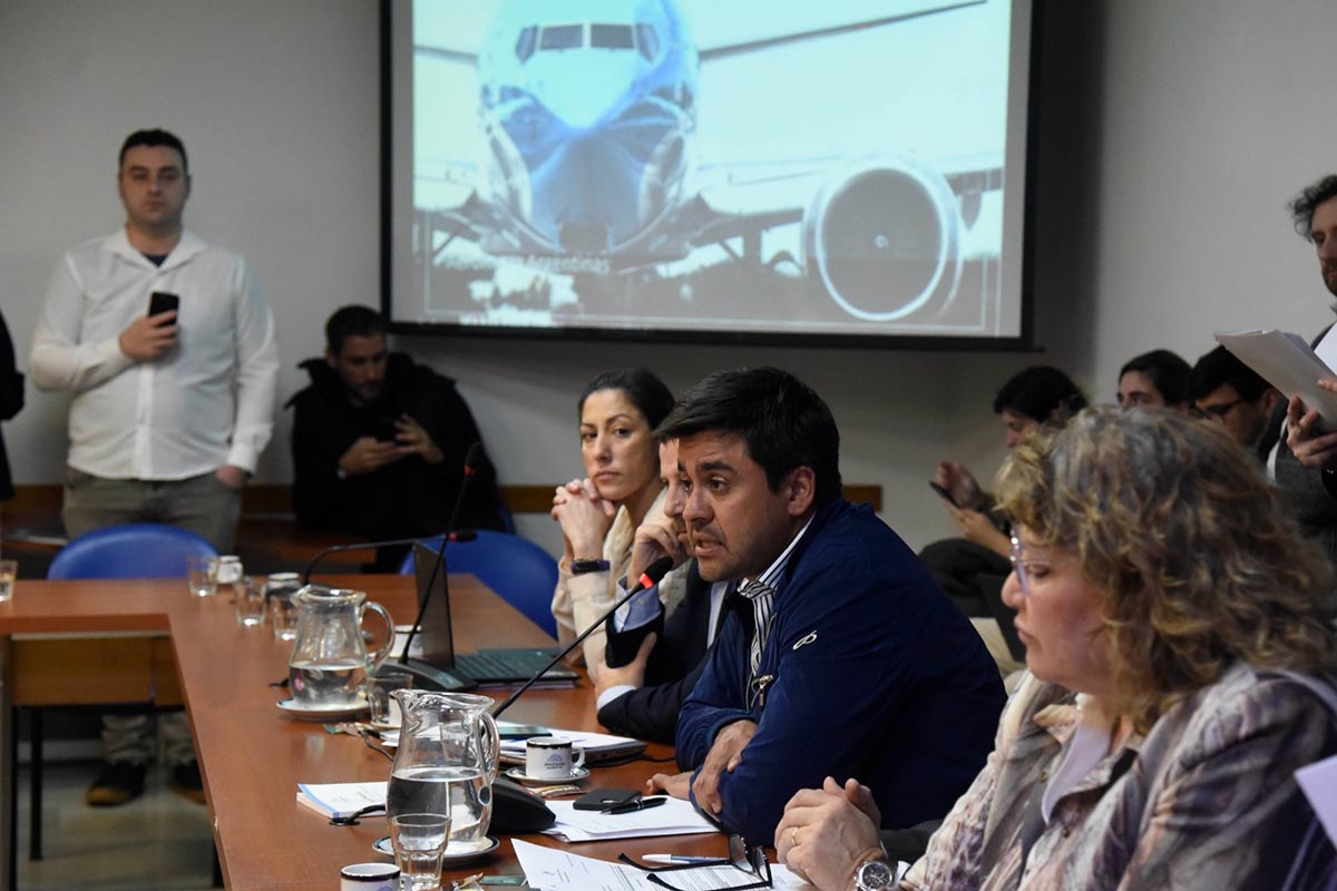 Avanza en Diputados el proyecto que busca proteger la estatización de Aerolíneas Argentinas