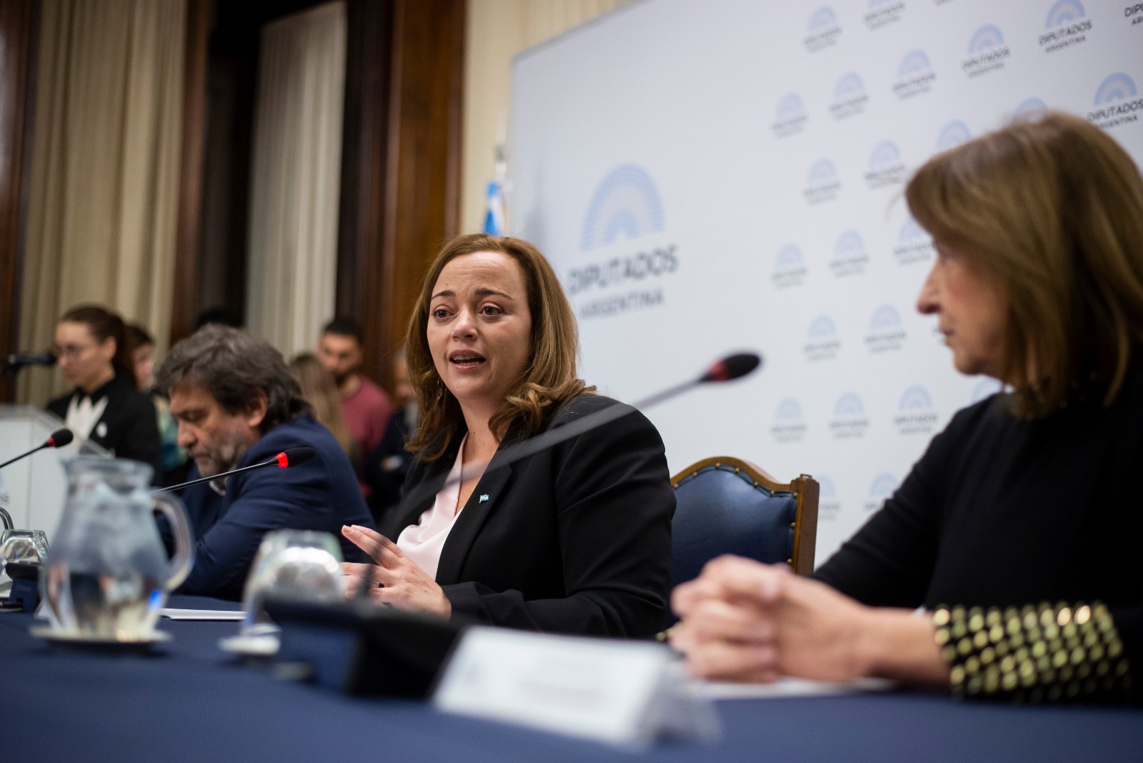 Cecilia Moreau confirmó que mañana ingresará el Presupuesto