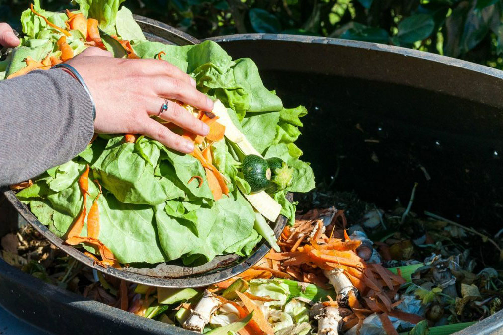 Un tesoro en los desechos: cómo los reutilizan para enriquecer otros alimentos