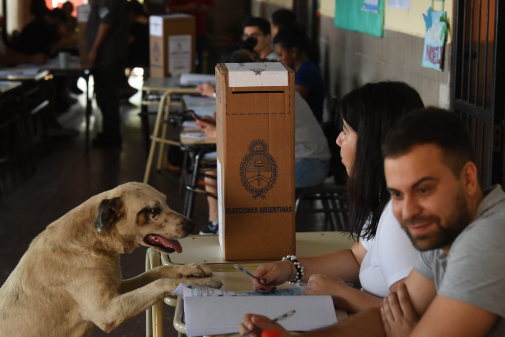 Llegan actas desde todo el país y avanza el escrutinio: votó más del 74% 2 Llegan actas desde todo el país y avanza el escrutinio: votó más del 74%