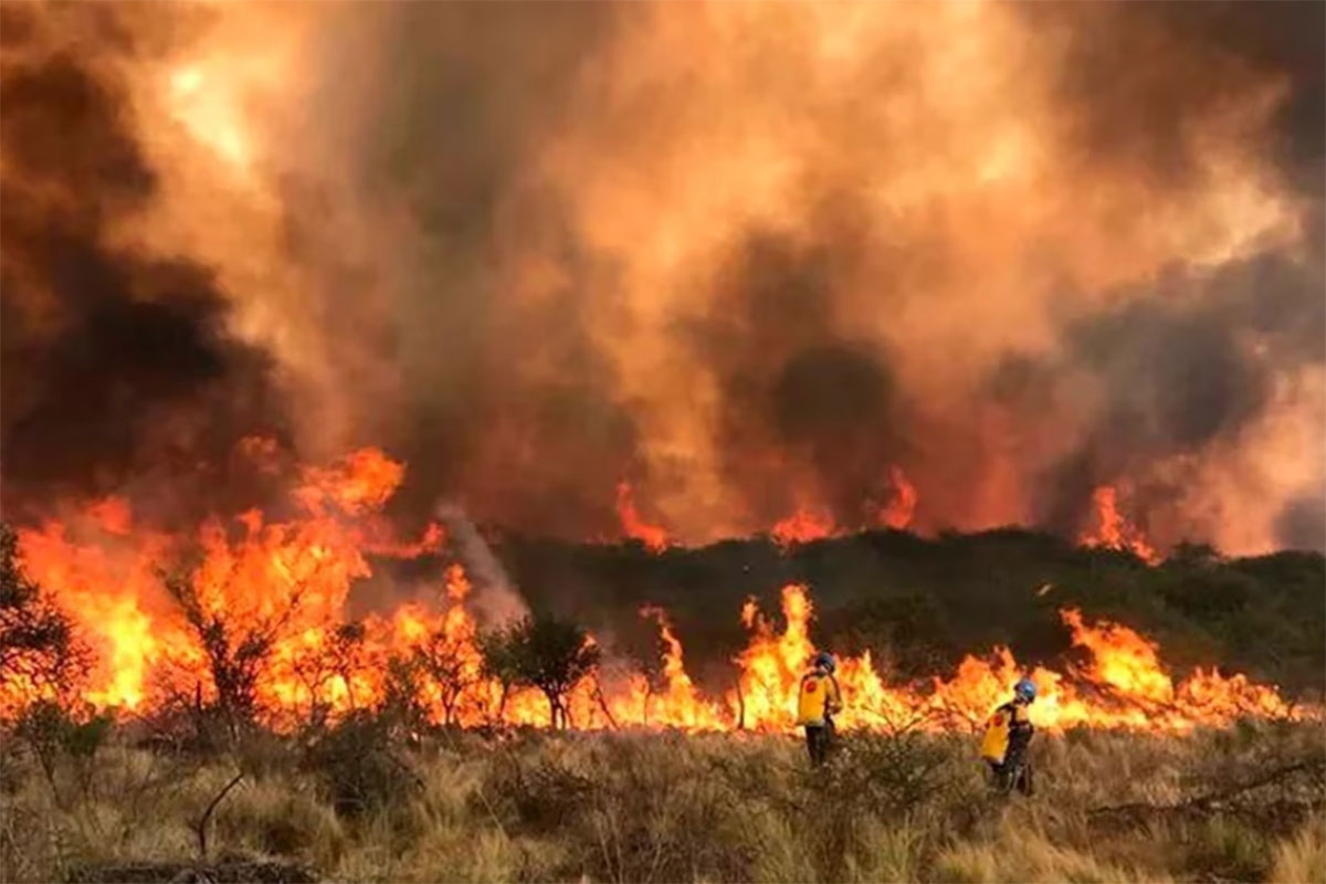 Jujuy, Formosa y Córdoba registran focos activos de incendios forestales