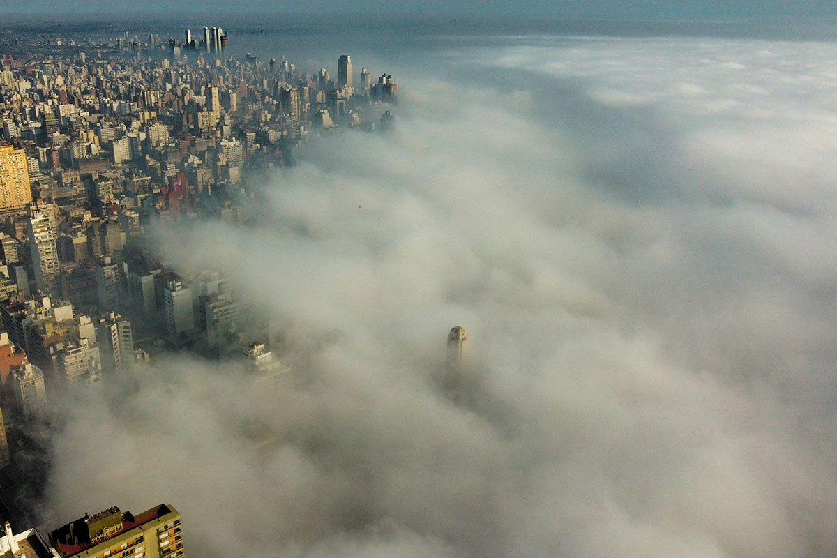 Restaurar el Delta con nativas: el desafío de reconciliar producción y conservación