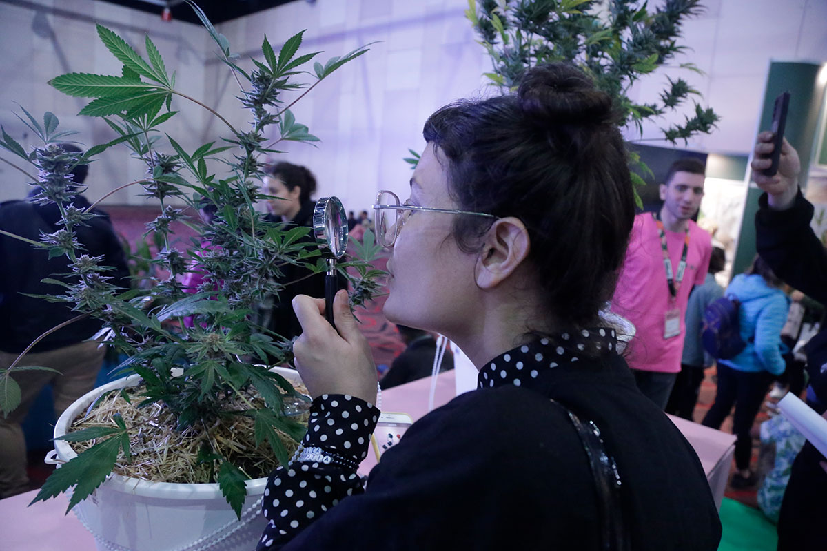 De los hongos a la medicina, una recorrida por la 4° Expo Cannabis