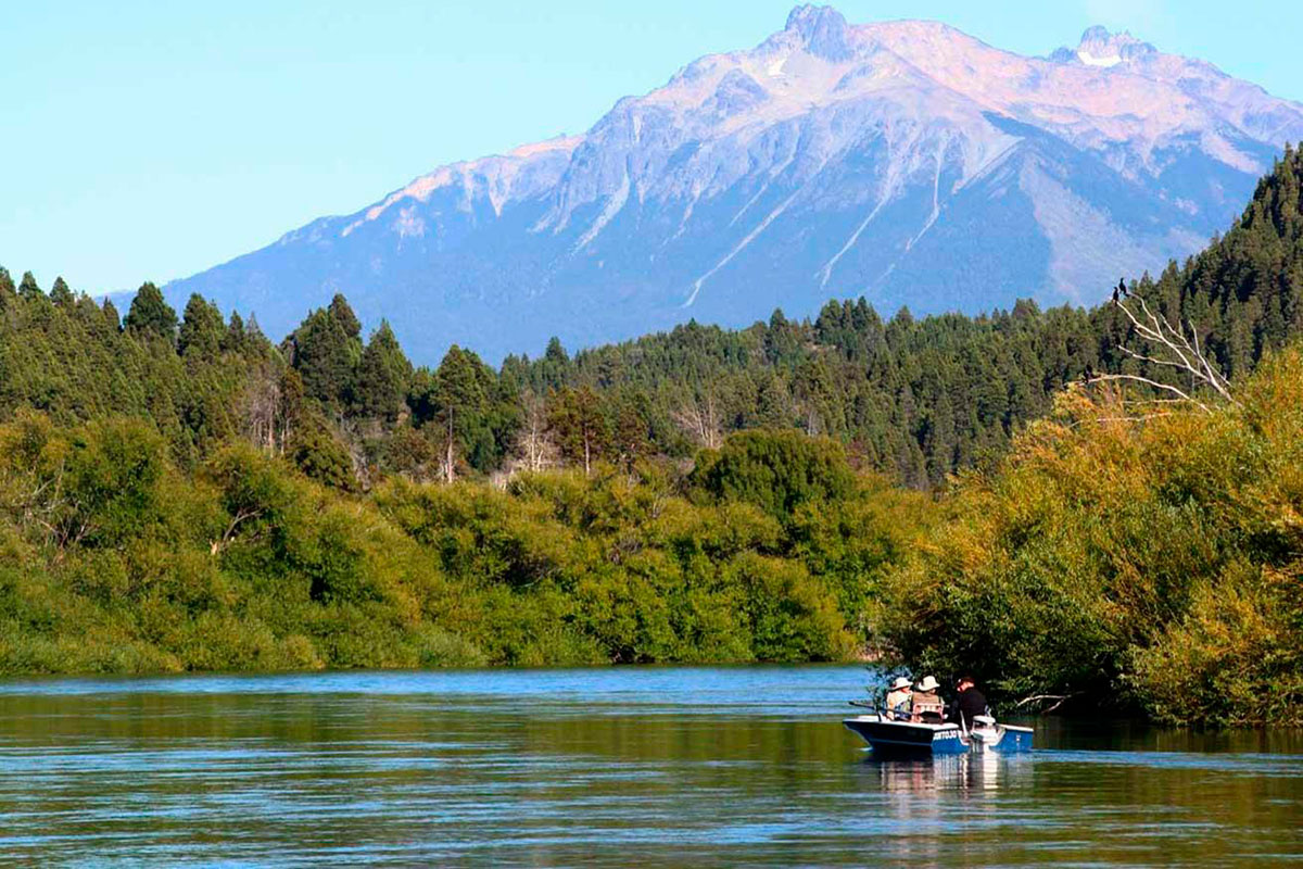 Lewis va por la construcción de centrales hidroeléctricas en reservas naturales patagónicas