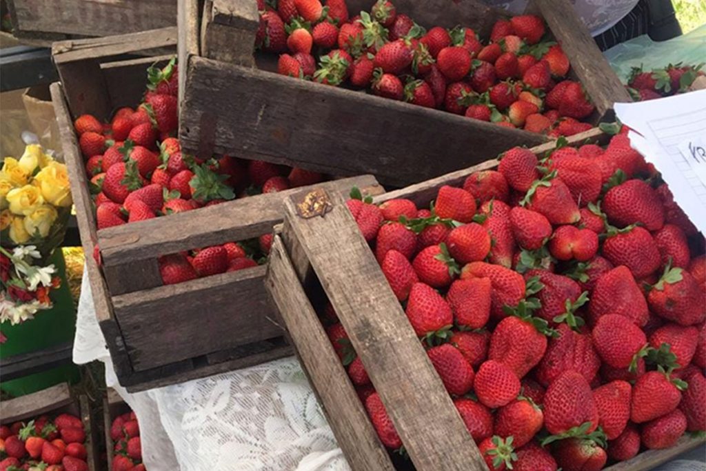 Italia, una oda al mate y la fiesta de la frutilla: actividades para el fin de semana 2 Italia, una oda al mate y la fiesta de la frutilla: actividades para el fin de semana