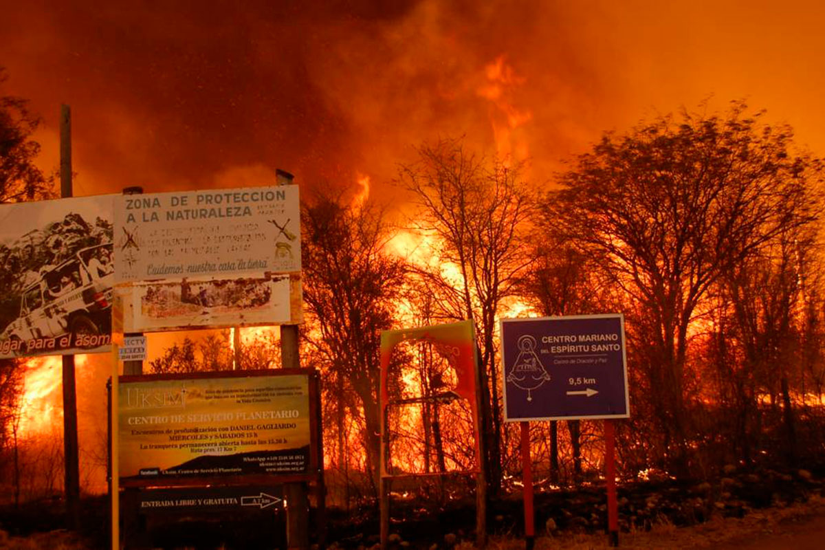 Restaurar el Delta con nativas: el desafío de reconciliar producción y conservación