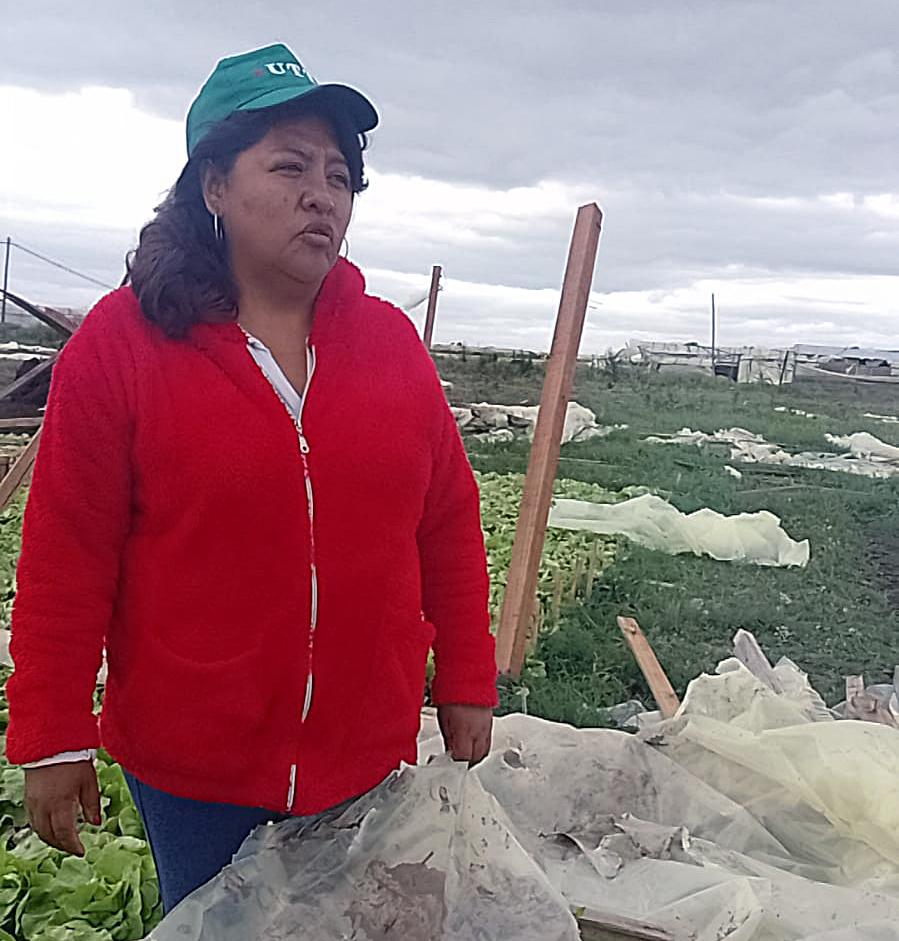 La tormenta perfecta para los productores de alimentos