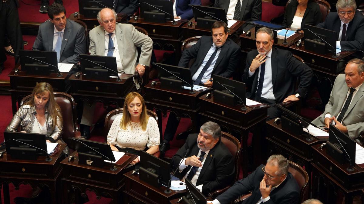 La declinación en el interior: otro factor que se debate dentro del peronismo para pensar la estrategia de recuperación 6 Senado Bloque del peronismo