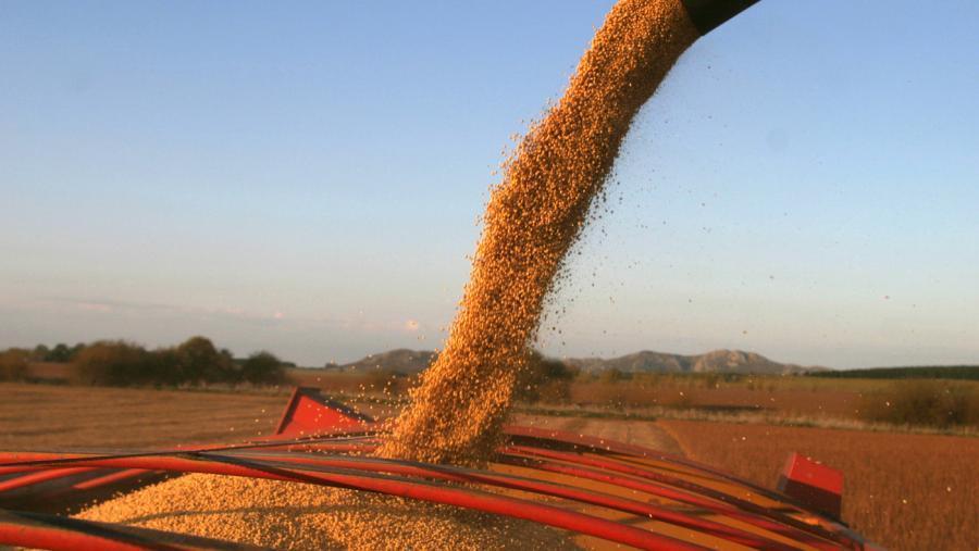 Las claves de la reforma constitucional en Santa Fe que impactan en el sector rural 1 soja exportación retenciones reforma