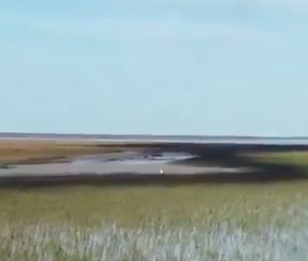 Se produjo un derrame de petróleo en el Estuario de Bahía Blanca: el Municipio y la Provincia investigan a la empresa