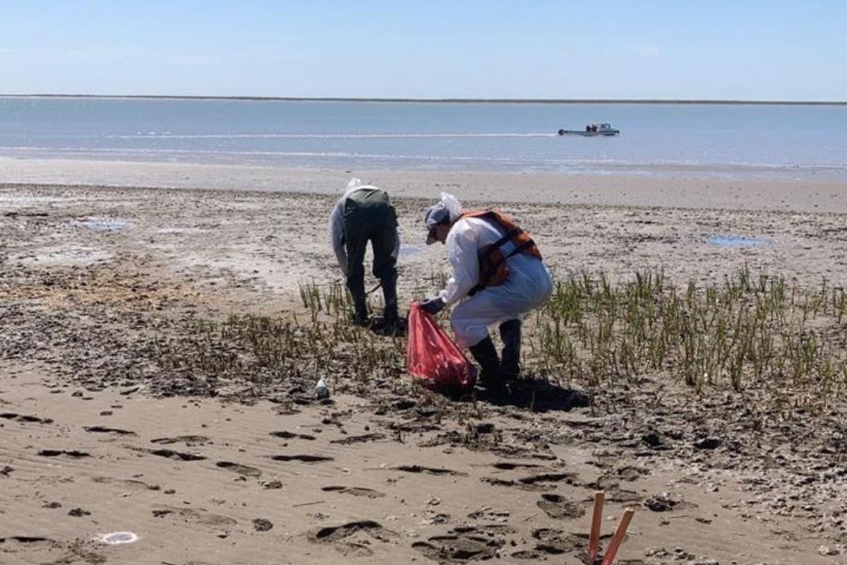 Derrame de petróleo en el Estuario Bahía Blanca: la empresa dice que fueron casi mil litros
