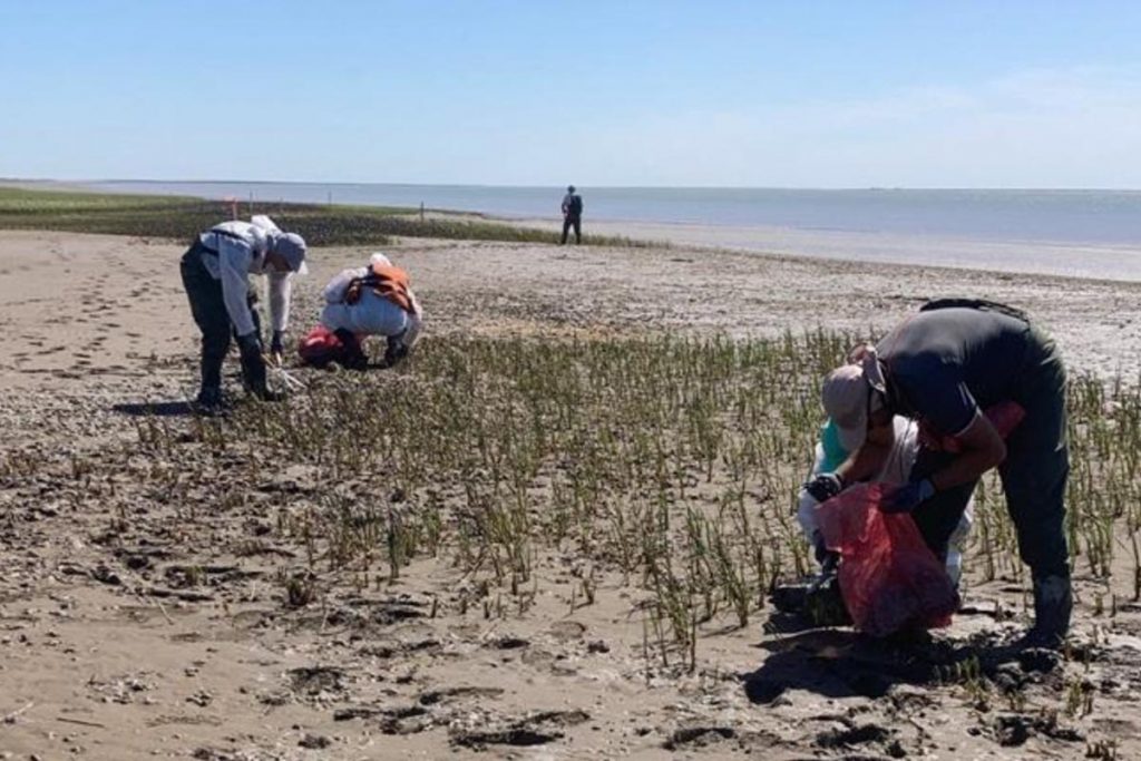 Derrame de petróleo en el Estuario Bahía Blanca: la empresa dice que fueron casi mil litros