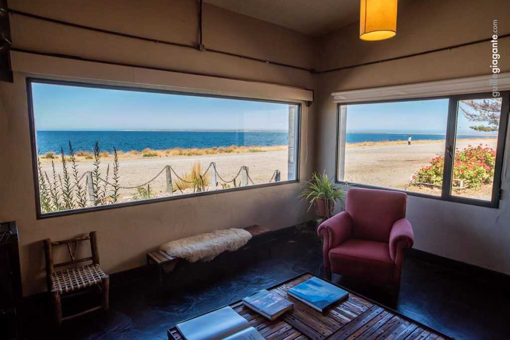 “La Galápagos de Argentina“: un pueblo alguero, una costa agreste y mil historias 6 “La Galápagos de Argentina“: un pueblo alguero, una costa agreste y mil historias