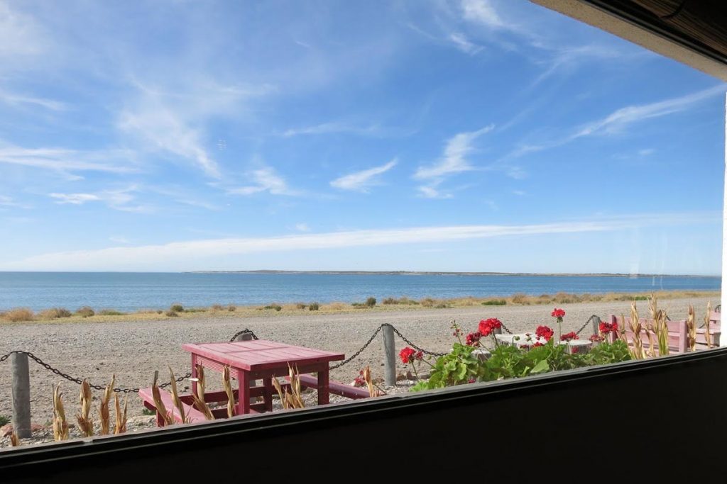 “La Galápagos de Argentina“: un pueblo alguero, una costa agreste y mil historias 5 “La Galápagos de Argentina“: un pueblo alguero, una costa agreste y mil historias