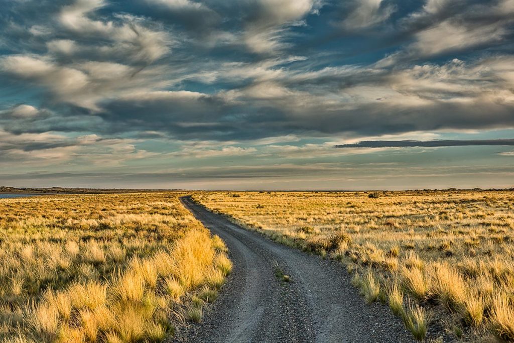 “La Galápagos de Argentina“: un pueblo alguero, una costa agreste y mil historias 11 “La Galápagos de Argentina“: un pueblo alguero, una costa agreste y mil historias