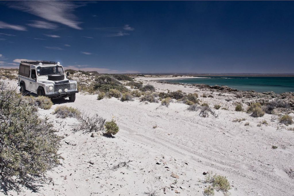 “La Galápagos de Argentina“: un pueblo alguero, una costa agreste y mil historias 9 “La Galápagos de Argentina“: un pueblo alguero, una costa agreste y mil historias
