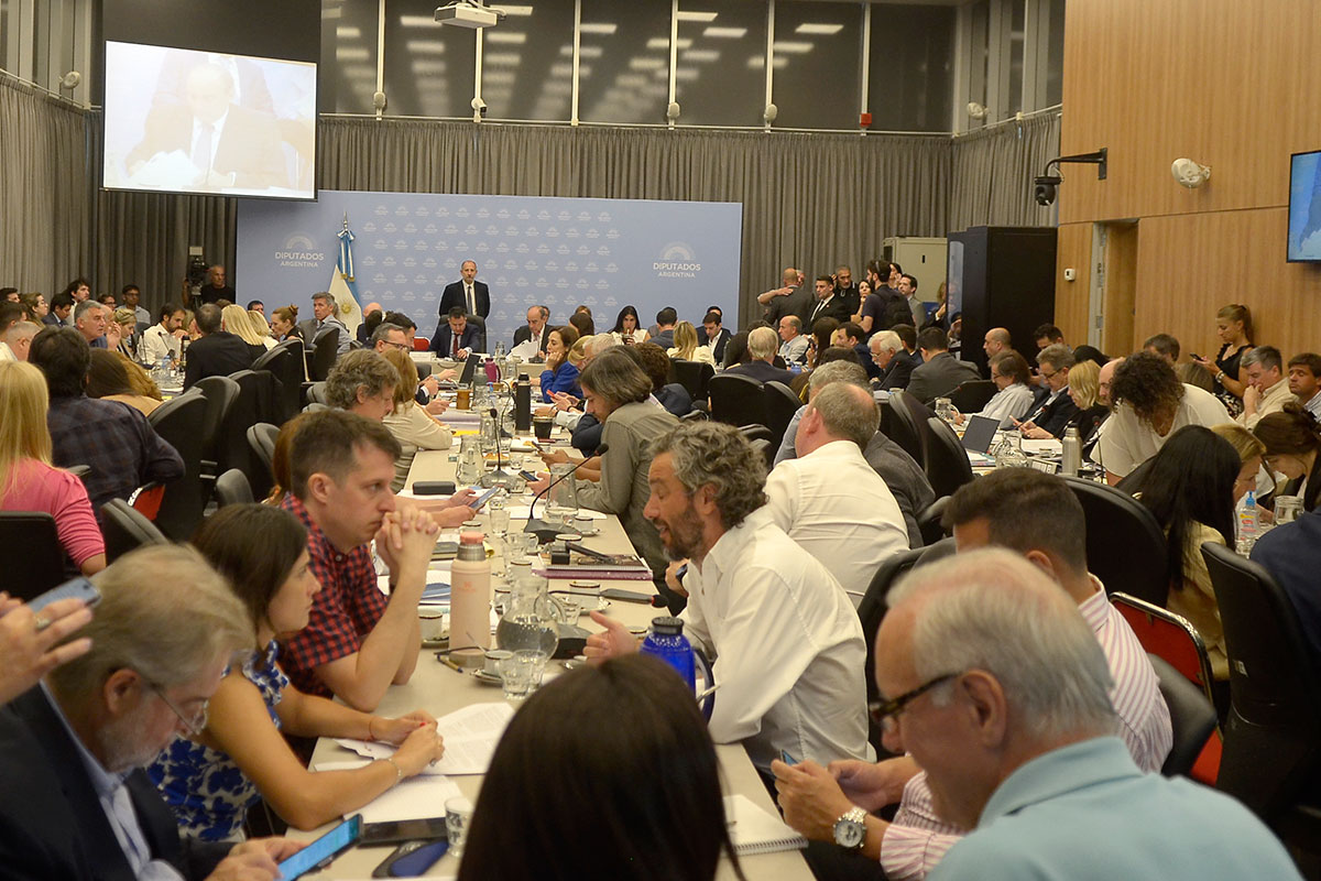 Continúa el debate de la «ley ómnibus» en el plenario de comisiones de la Cámara de Diputados