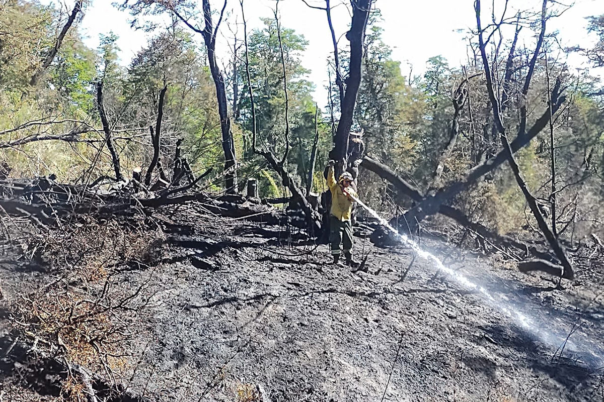 El Parque Nacional Lanín inició acciones legales por el incendio en Lago Hermoso