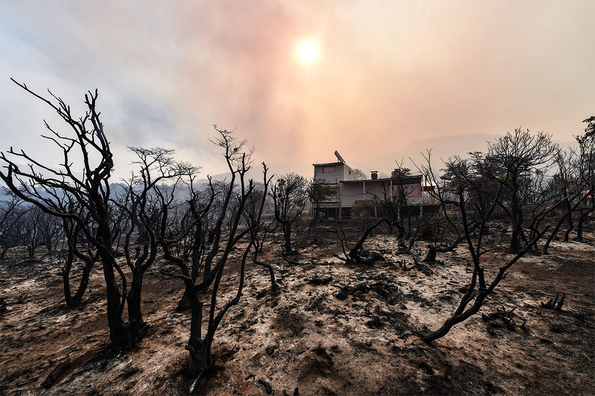 Continúa activo el incendio en el Parque Nacional Los Alerces
