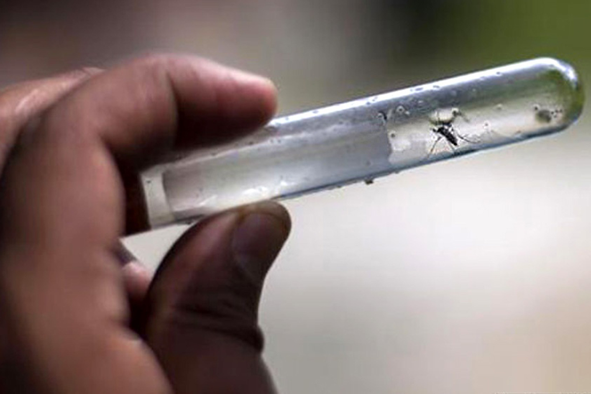 Cuáles son los municipios bonaerenses en emergencia por la circulación del dengue