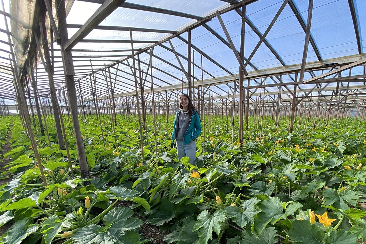 Crecen el hambre y el desperdicio de comida: una búsqueda de soluciones desde el cinturón hortícola platense
