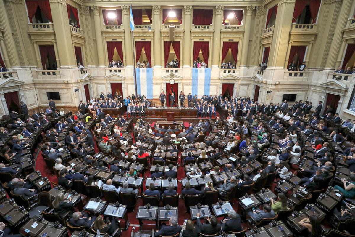 ¿Censura? En medio de críticas de especialistas al mega DNU, se cortó la transmisión del canal oficial de Diputados