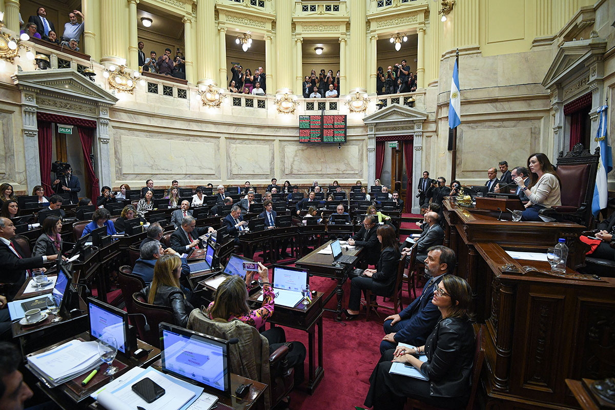 Antes del debate en el Senado, denuncian que modificaron la Ley Bases aprobada por Diputados