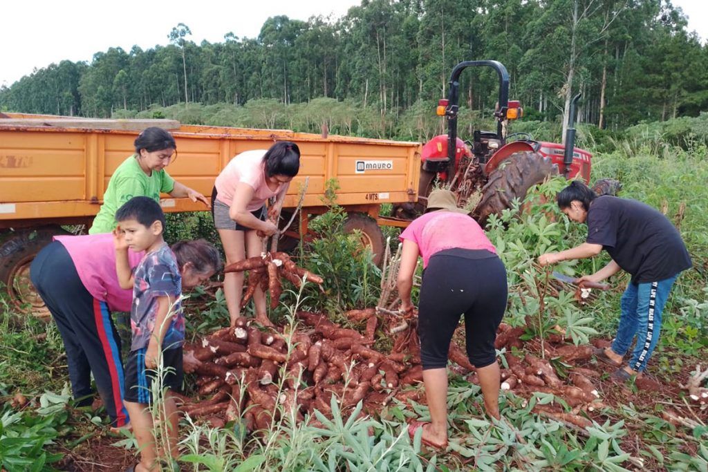 Horticultores proveen a trabajadores mineros sin dejar de lado las demandas ambientales