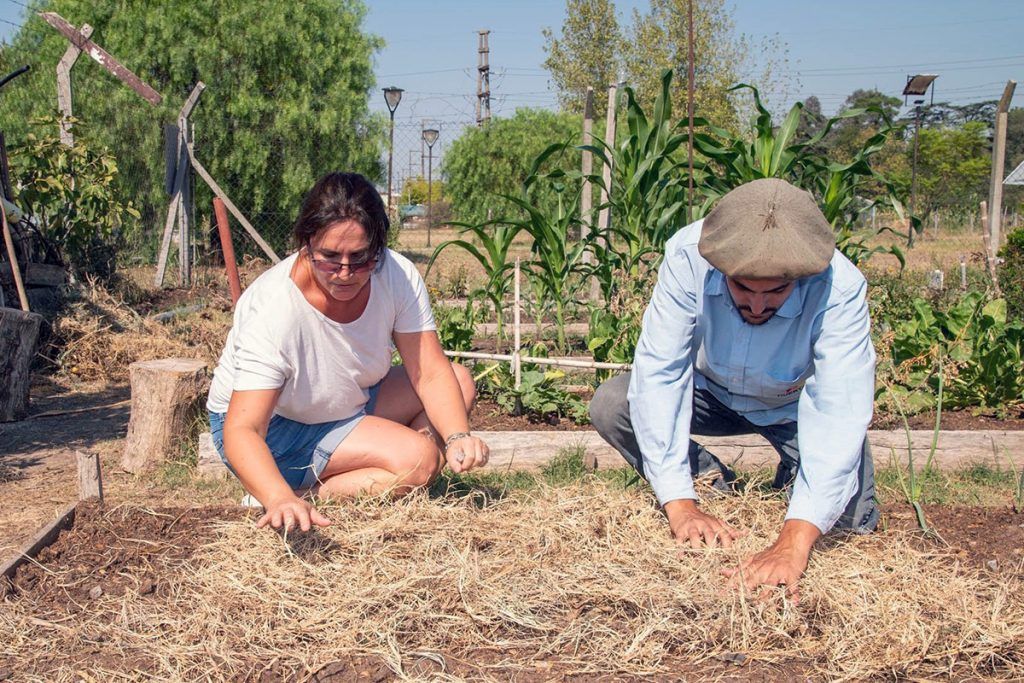 Denuncian que están “dejando morir” el programa Pro-Huerta: menos semillas y alimentos para miles de familias 1 Denuncian que están “dejando morir” el programa Pro-Huerta: menos semillas y alimentos para miles de familias