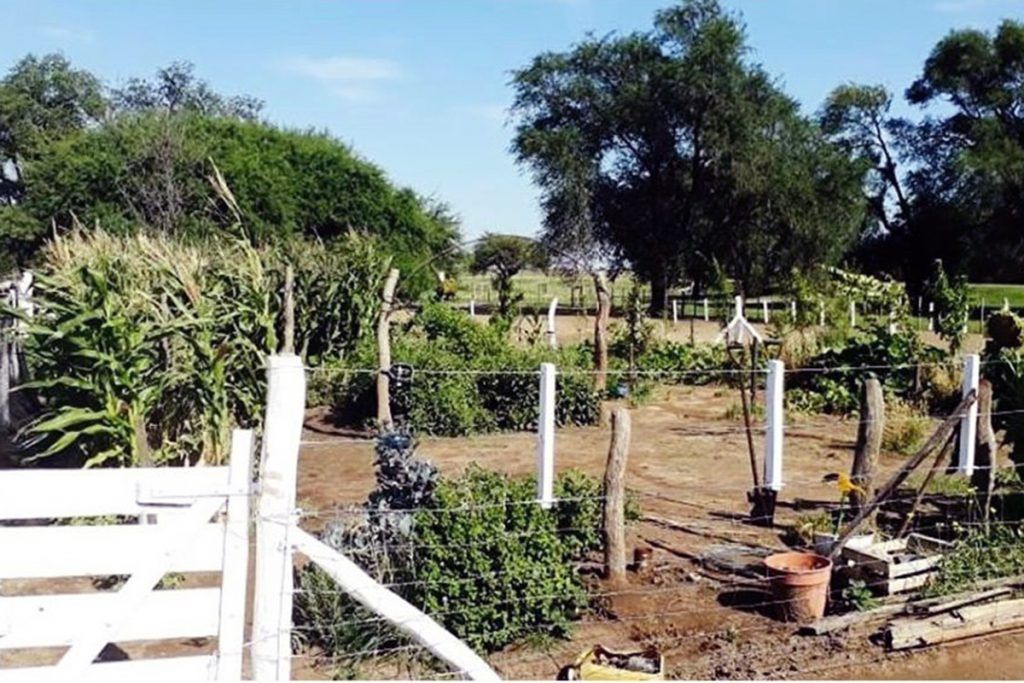 Denuncian que están “dejando morir” el programa Pro-Huerta: menos semillas y alimentos para miles de familias 2 Denuncian que están “dejando morir” el programa Pro-Huerta: menos semillas y alimentos para miles de familias