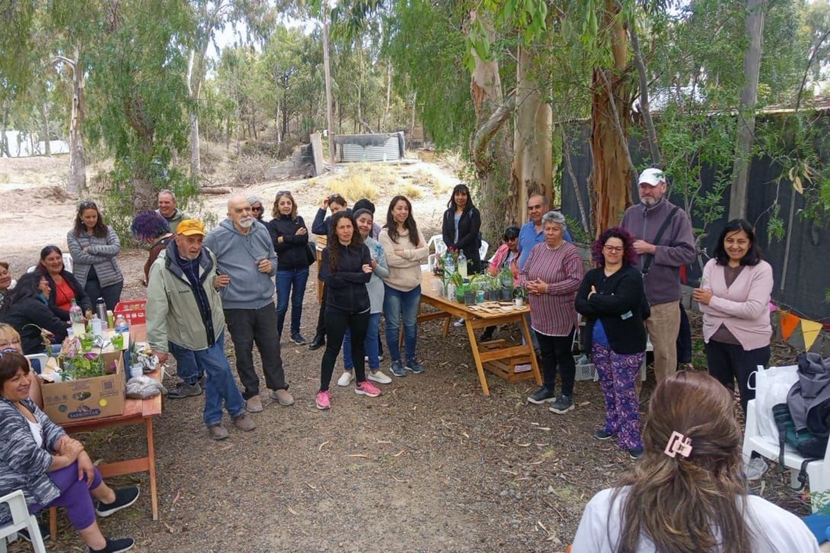 Denuncian que están “dejando morir” el programa Pro-Huerta: menos semillas y alimentos para miles de familias
