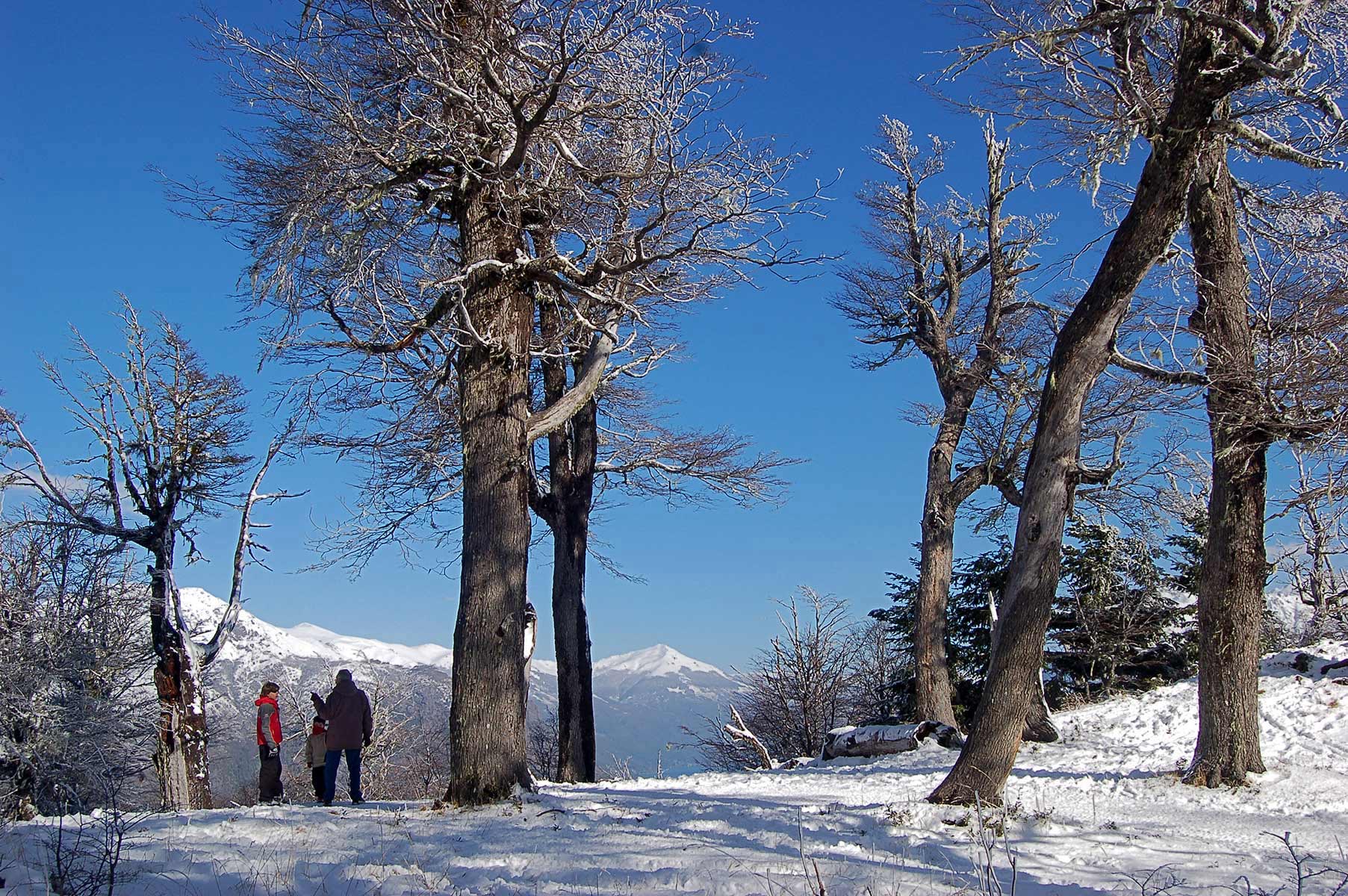 Lanzaron «BariCheck», el programa de descuentos para disfrutar Bariloche