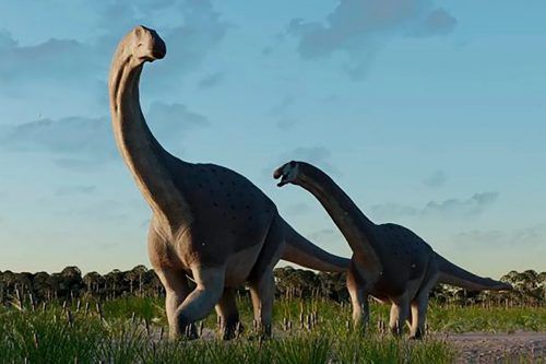 Científicos del Conicet descubrieron los restos de un titanosaurio que vivió hace 66 millones de años