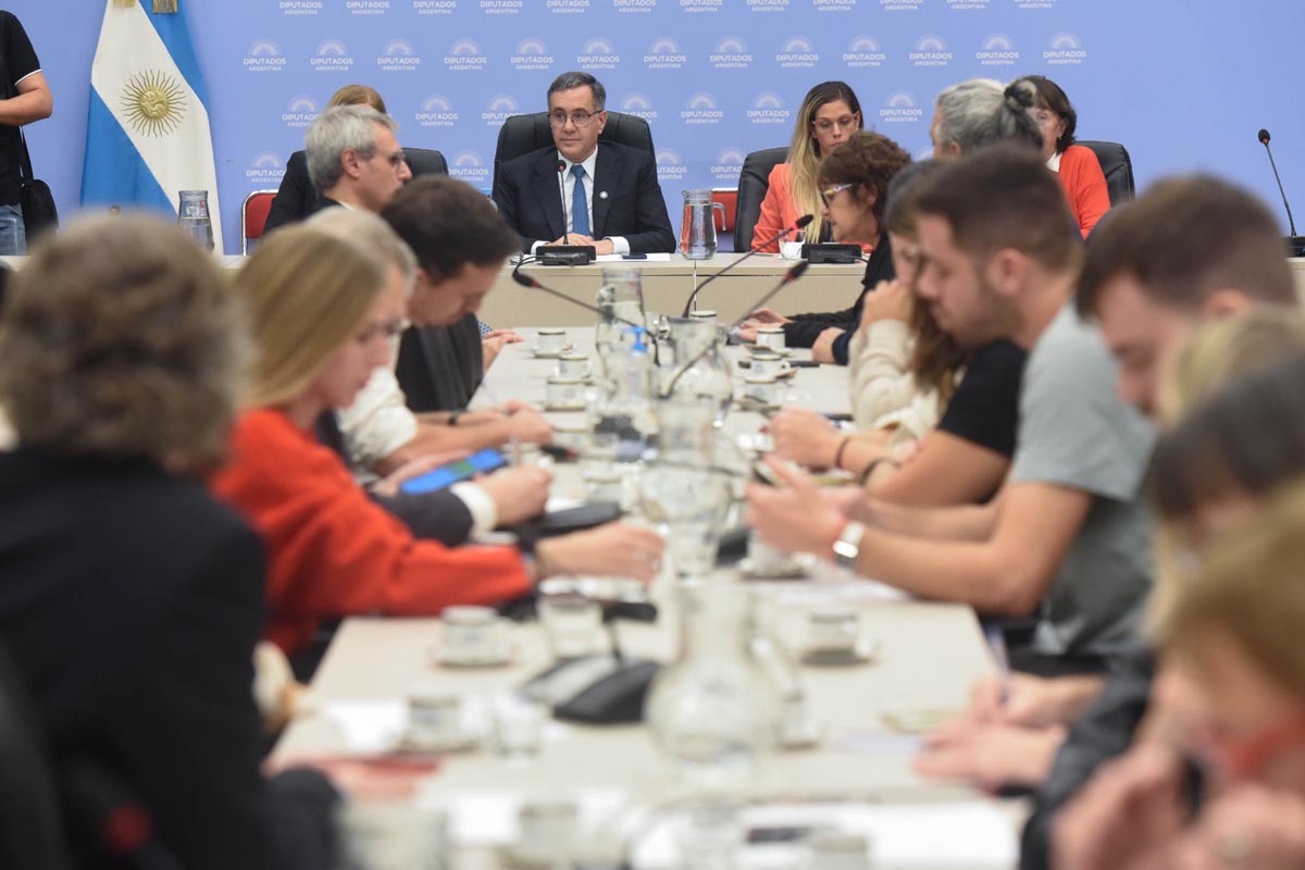 Universidades: sesión en Diputados aspira a marcarle la cancha al gobierno con una inédita mayoría