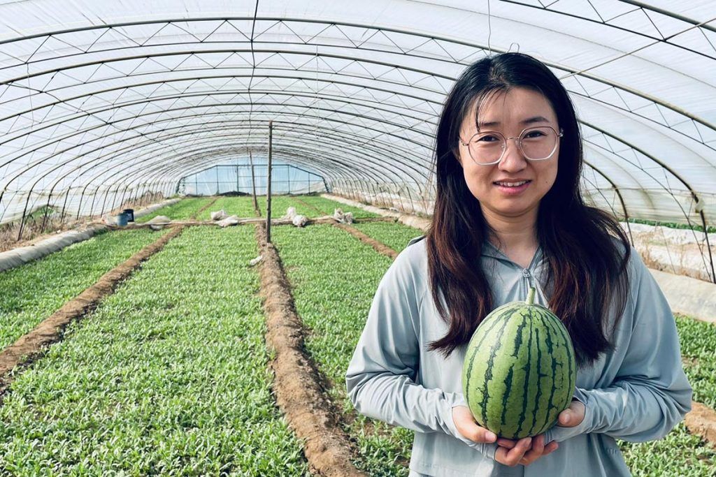 Cooperativas de agricultores con características chinas, el otro modelo