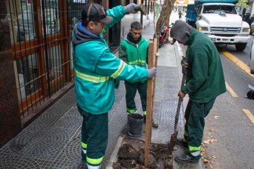 Jorge Macri dará más de $ 2100 millones para un censo de árboles a una empresa vinculada al macrismo