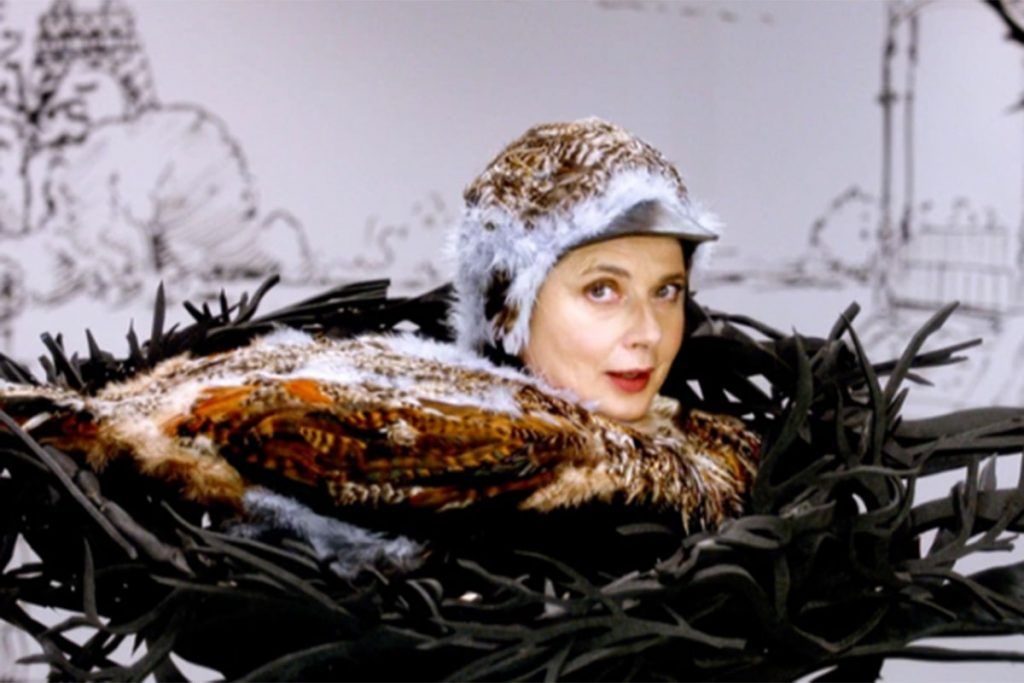 “Green porno”: otra faceta del reconocido talento de Isabella Rossellini 2 “Green porno”: otra faceta del reconocido talento de Isabella Rossellini