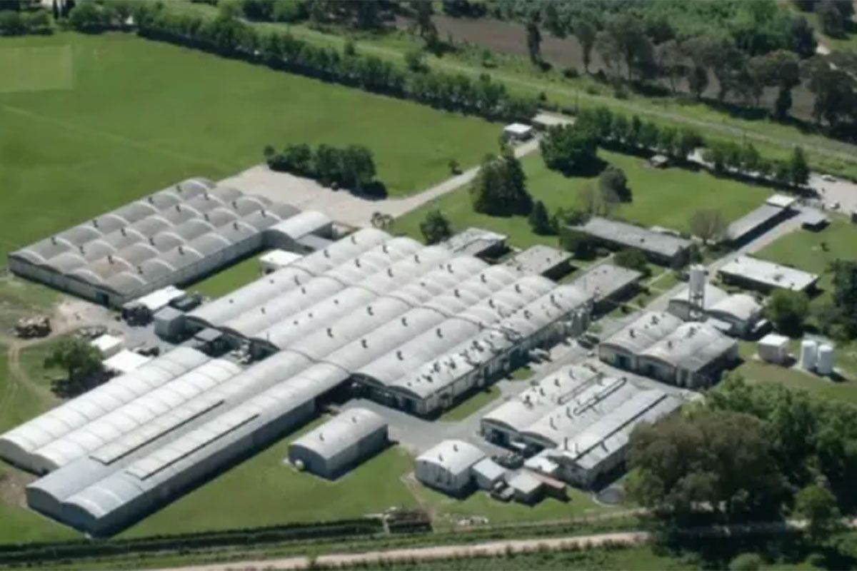 La planta que produce Voligoma, La Gotita y Poxipol suspendió 150 trabajadores por dos meses