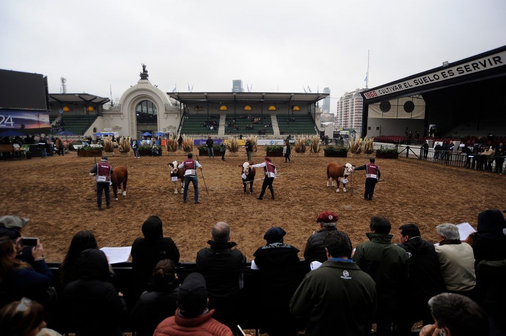 Los dueños de la tierra y una democracia que nunca llegó al campo