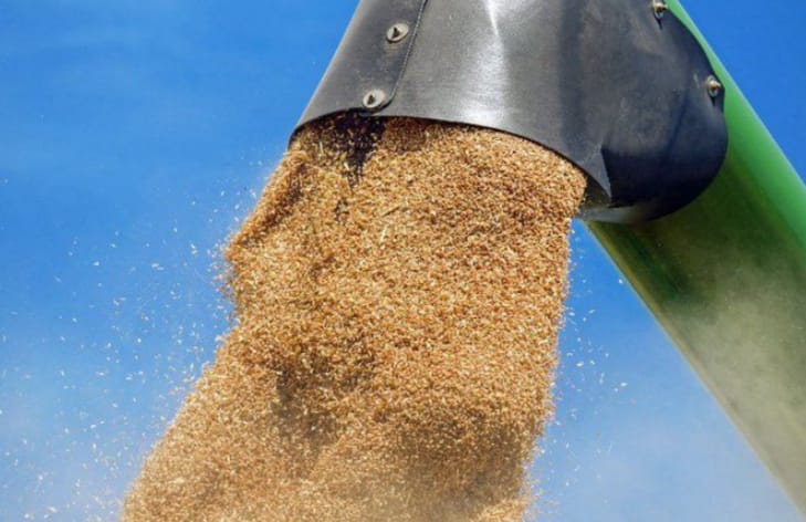 Ni alimenta ni da dinero 1 Ni alimenta ni da dinero