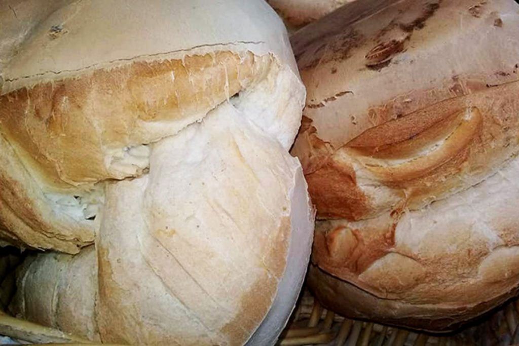 Rock, folklore, remo y galleta de campo para este finde bonaerense 1 Rock, folklore, remo y galleta de campo para este finde bonaerense