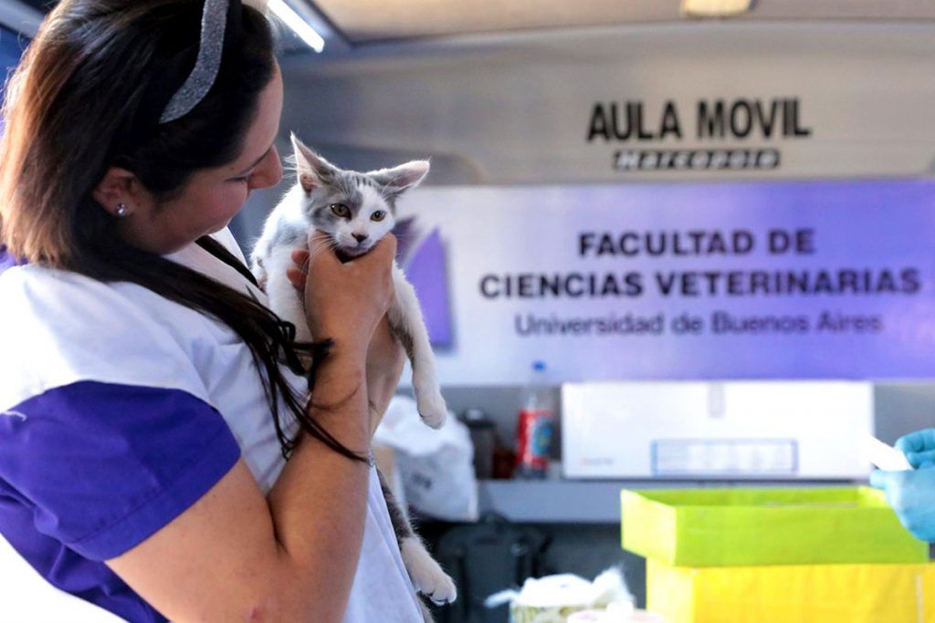 Frente a la alta demanda, la UBA ofrece servicios gratuitos de salud en la Plaza Houssay 2 Frente a la alta demanda, la UBA ofrece servicios gratuitos de salud en la Plaza Houssay