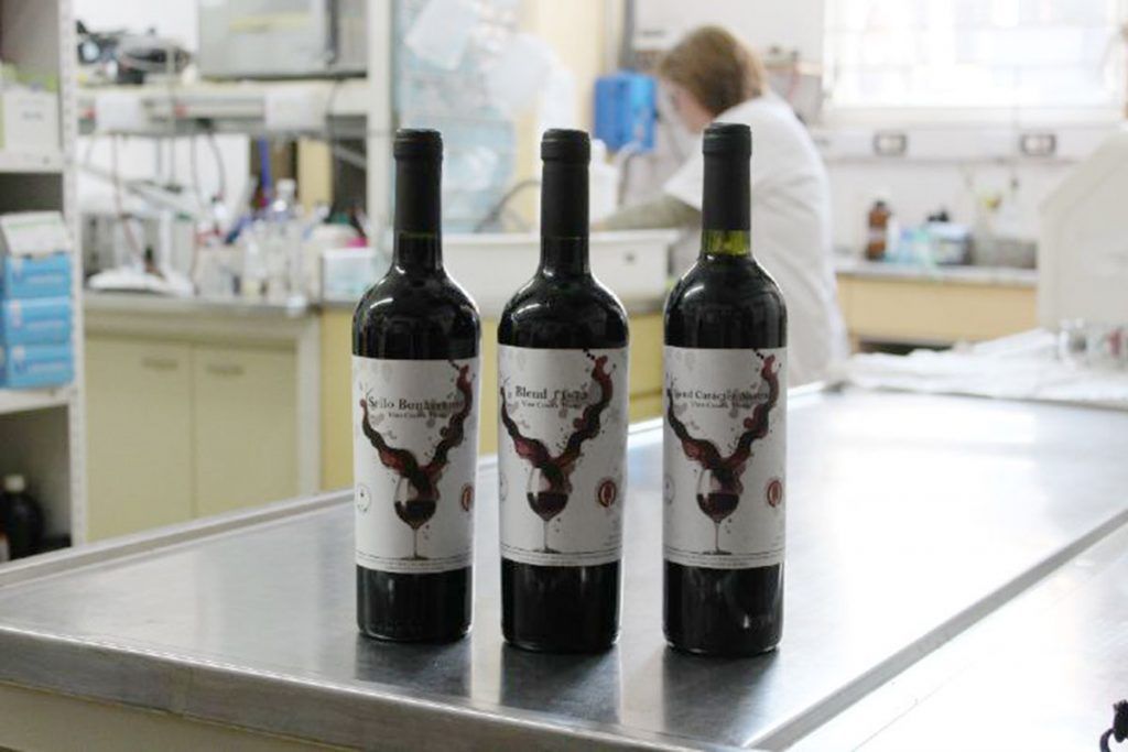 Lanzan el primer vino creado por una universidad pública 2 Lanzan el primer vino creado por una universidad pública